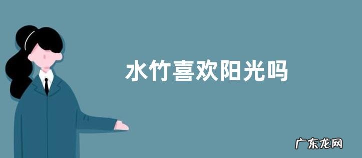 水竹喜欢阳光吗