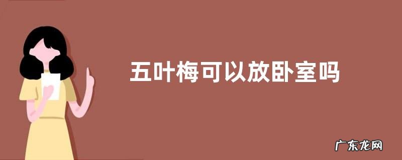 五叶梅可以放卧室吗
