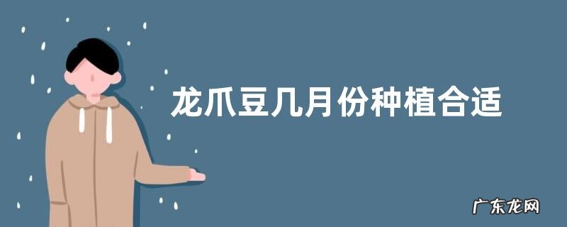 龙爪豆几月份种植合适