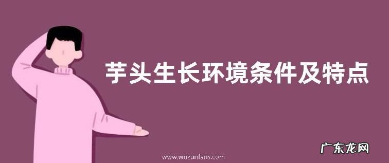 芋头生长环境条件及特点