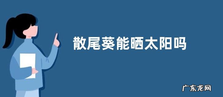 散尾葵能晒太阳吗