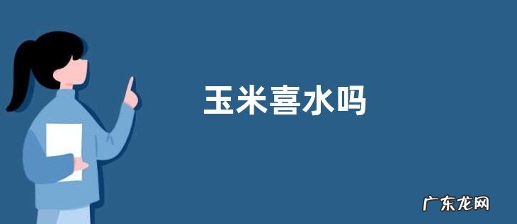 玉米喜水吗