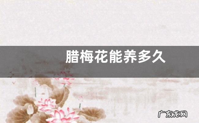 腊梅花能养多久