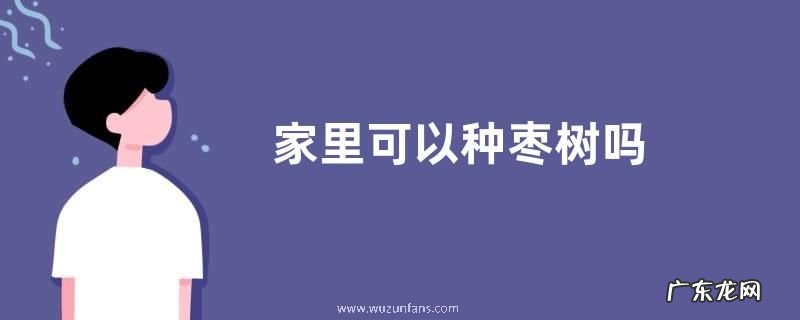 家里可以种枣树吗