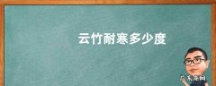 云竹耐寒多少度