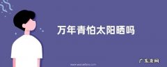 万年青怕太阳晒吗