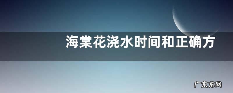 海棠花浇水时间和正确方法