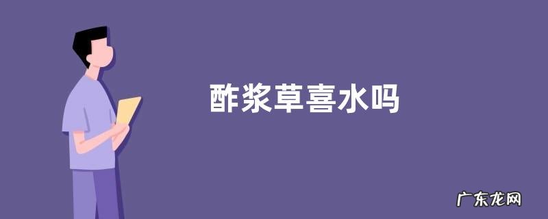 酢浆草喜水吗