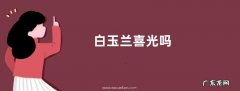 白玉兰喜光吗