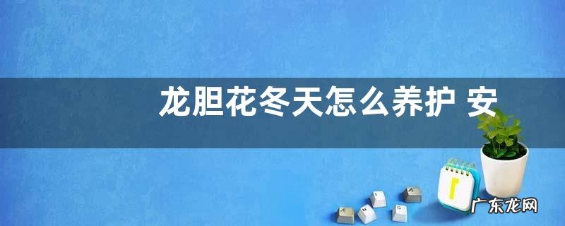 龙胆花冬天怎么养护 安全过冬的养殖方法