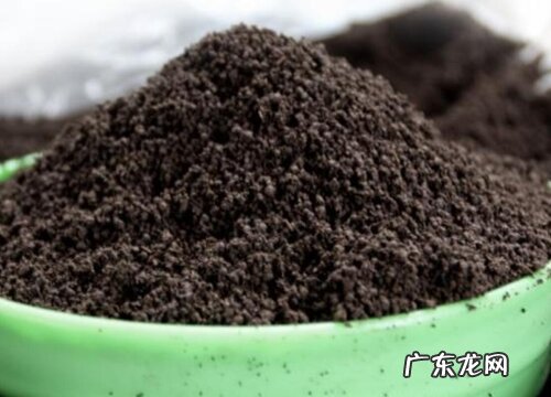 蚯蚓土可以种多肉吗