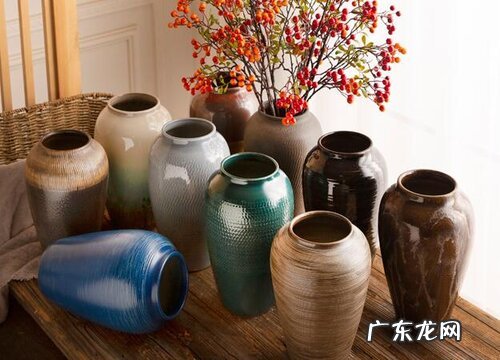 陶罐适合养什么花