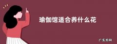瑜伽馆适合养什么花