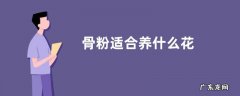 骨粉适合养什么花