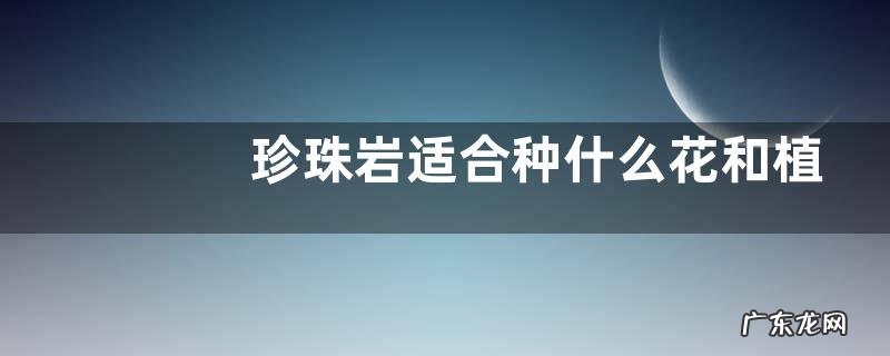 珍珠岩适合种什么花和植物