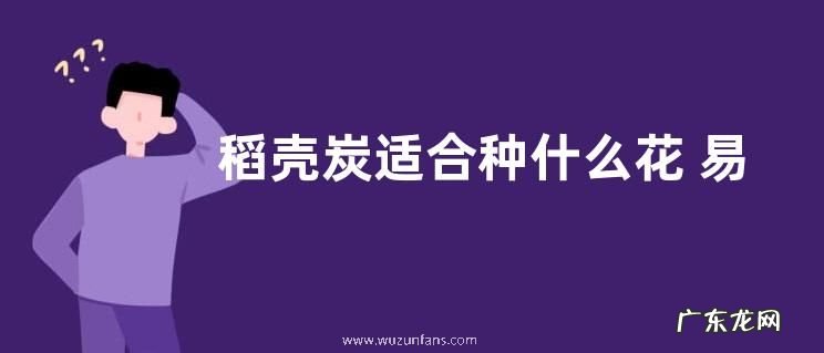 稻壳炭适合种什么花 易成活
