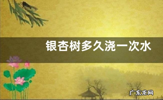 银杏树多久浇一次水