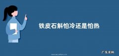 铁皮石斛怕冷还是怕热