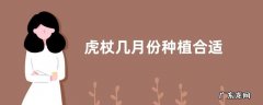 虎杖几月份种植合适