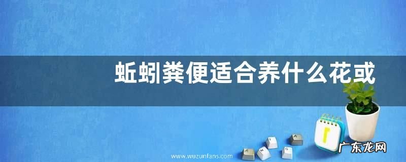 蚯蚓粪便适合养什么花或植物