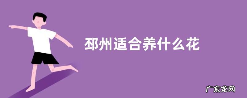 邳州适合养什么花