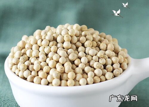 胡椒是什么味道的