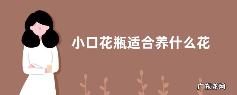 小口花瓶适合养什么花