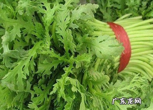 茼蒿冬天会冻死吗