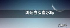 鸿运当头喜水吗