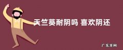 天竺葵耐阴吗 喜欢阴还是喜欢阳光