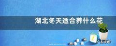 湖北冬天适合养什么花