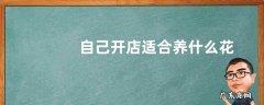 自己开店适合养什么花