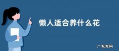 懒人适合养什么花