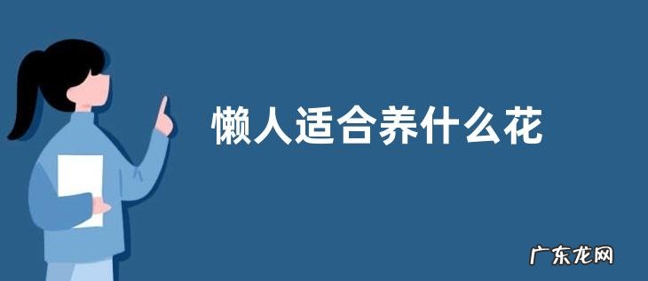 懒人适合养什么花