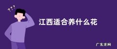 江西适合养什么花