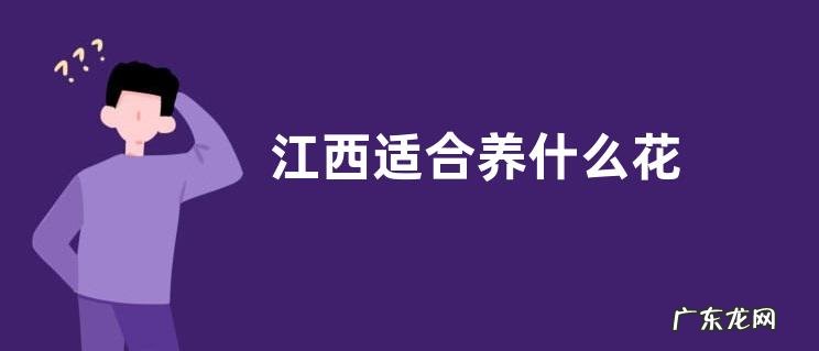 江西适合养什么花