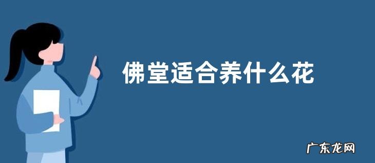 佛堂适合养什么花
