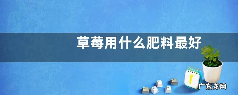 草莓用什么肥料最好