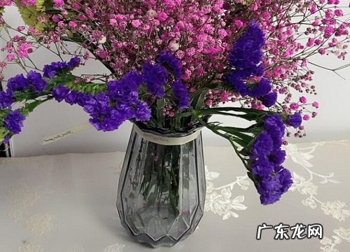 花瓶适合养什么花
