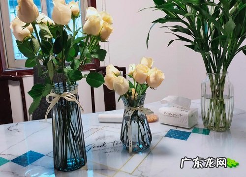 花瓶适合养什么花