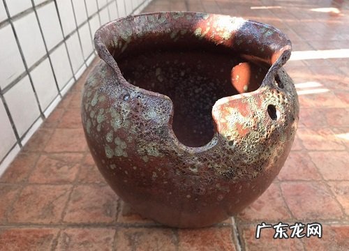 紫砂小盆适合养什么花