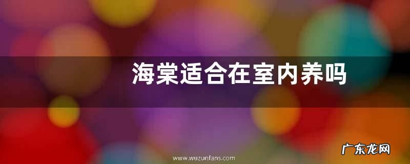 海棠适合在室内养吗