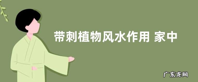 带刺植物风水作用 家中放带刺植物有什么禁忌