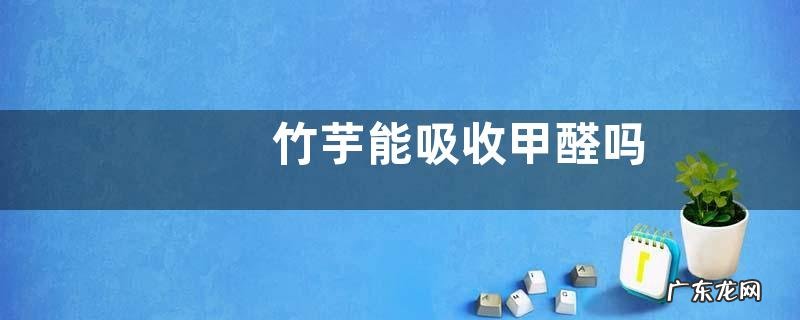 竹芋能吸收甲醛吗