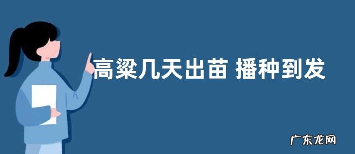 高粱几天出苗 播种到发芽出苗时间