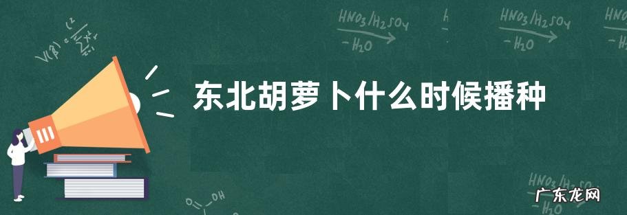 东北胡萝卜什么时候播种