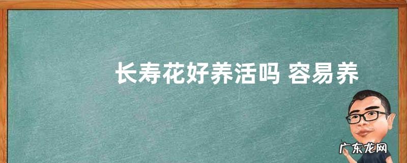长寿花好养活吗 容易养活吗