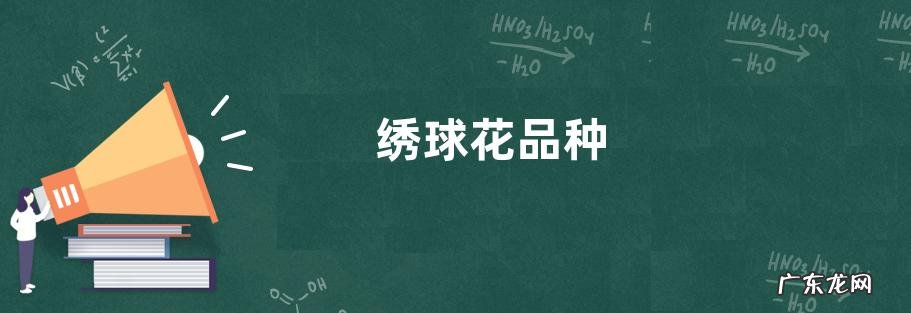绣球花品种