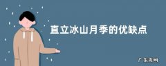 直立冰山月季的优缺点