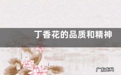 丁香花的品质和精神